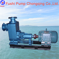 cwz marine horizontal general pump1.jpg